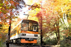 京阪電車.京都.四季.京阪線